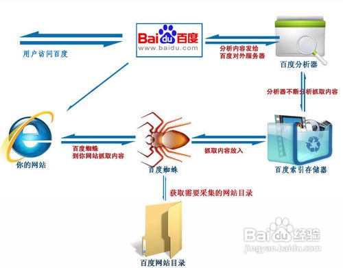 百度蜘蛛池出租:揭秘蜘蛛池工具，助力網(wǎng)絡(luò)營銷的得力助手