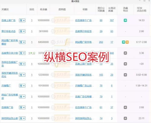 seo的公司排名