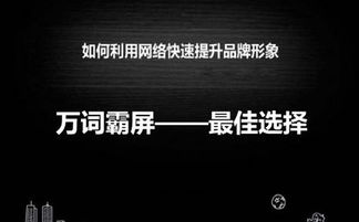 成都seo論壇