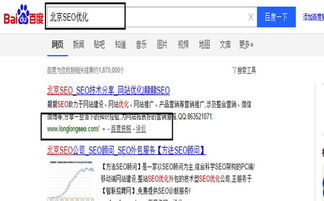 北京seo排名