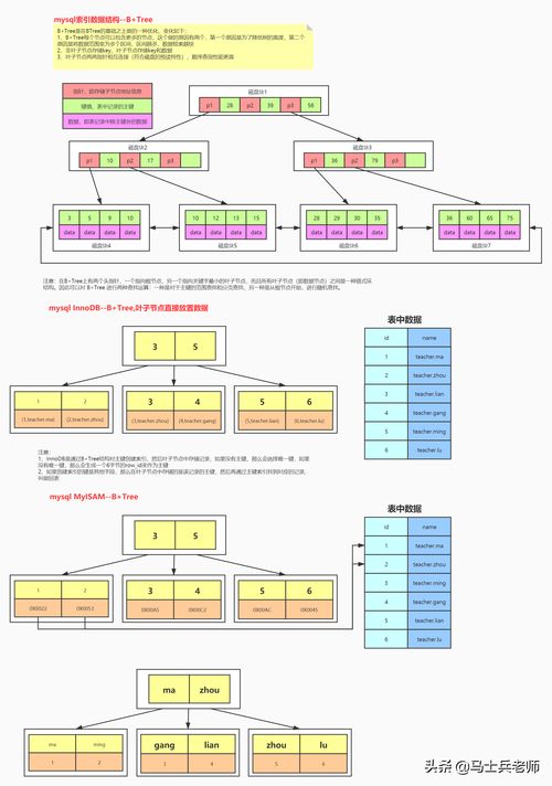 百度蜘蛛池優(yōu)化:蜘蛛池配置指南，如何打造高效的網絡爬蟲系統(tǒng)