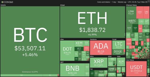 百度蜘蛛池咨詢:BTC蜘蛛礦池，引領加密貨幣挖礦新潮流