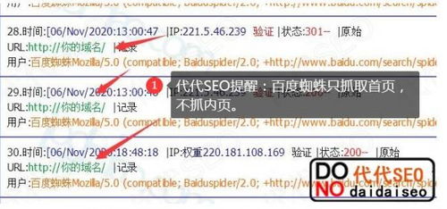 百度蜘蛛池引流:蜘蛛池的搭建方法詳解，輕松提升網(wǎng)站流量與排名