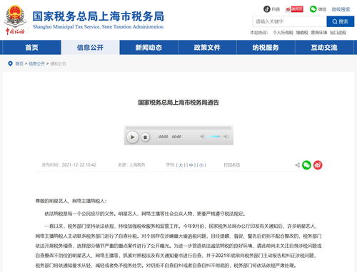 國(guó)家稅務(wù)總局網(wǎng)站查詢(xún)