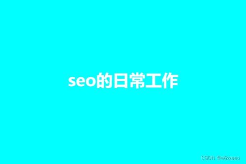 seo日常工作