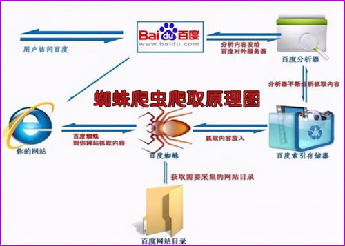 汕頭seo排名外包